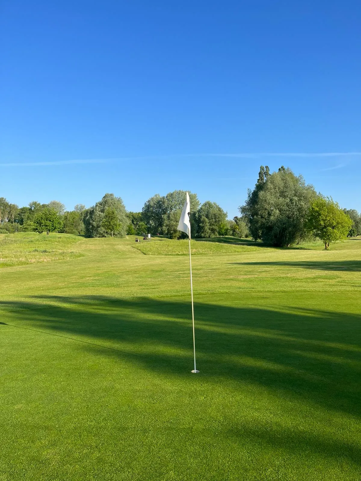 Golf Lounge Hamburg course with flag