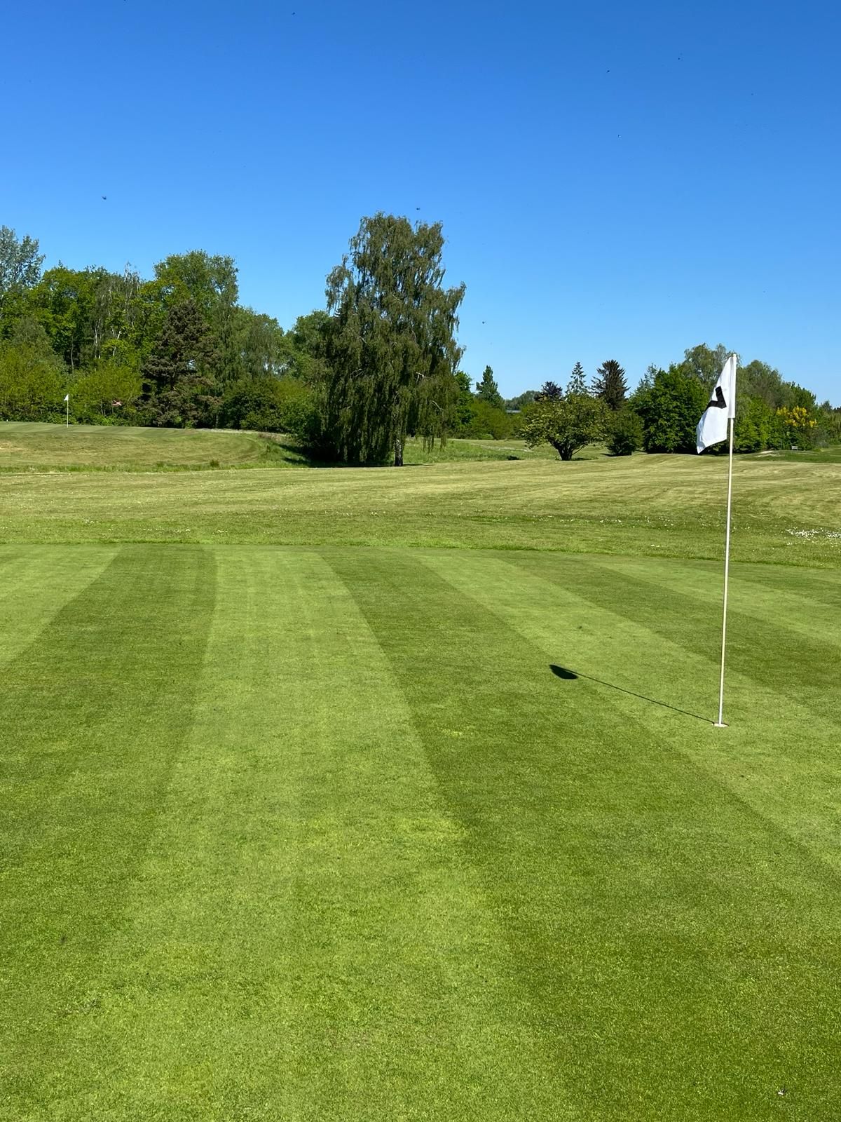 Finally Golf Weather