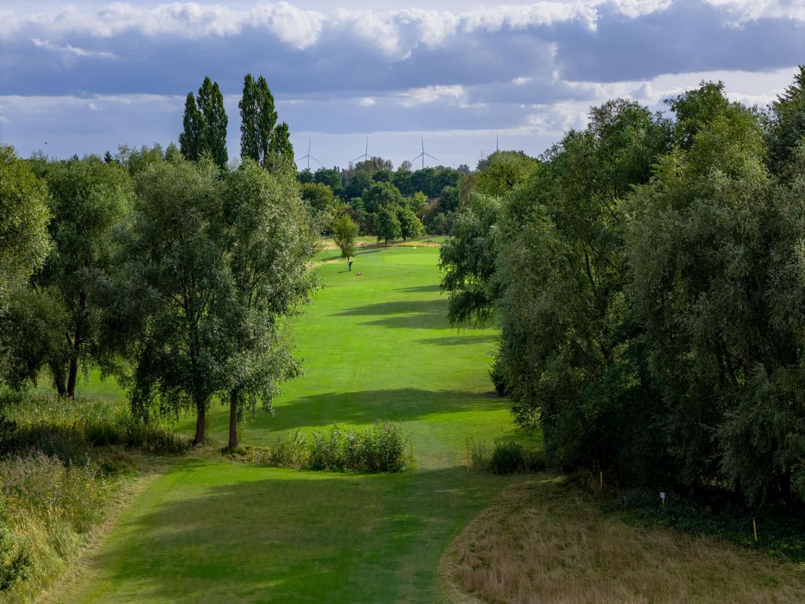 Nature in Moorfleet