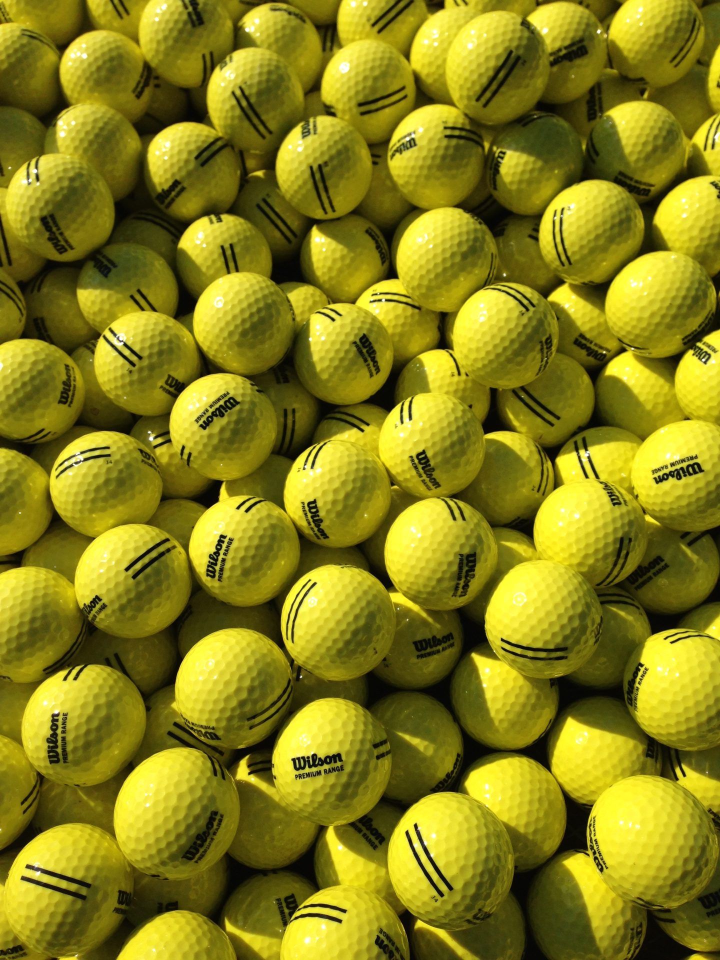 SimplyGOLF Visits (2019)